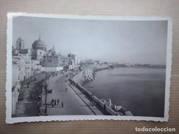 Postales: Cadiz - Avenida de Primo de Rivera - Foto 1