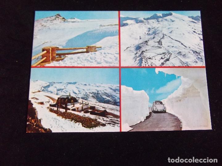 Postales: GRANADA-V43-SIERRA NEVADA