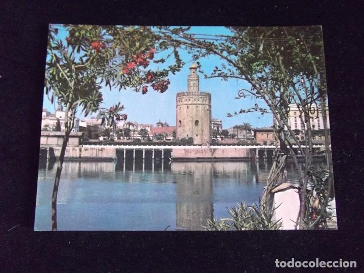 Postcards: SEVILLA-V43-ESCRITA-TORRE DEL ORO