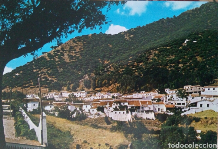 Postales: POSTAL DE MIJAS M&Aacute;LAGA - Foto 1