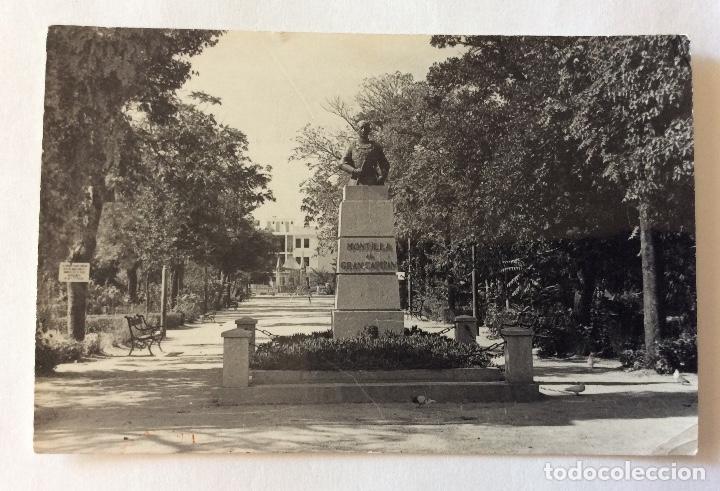 Postales: POSTAL FOTOGR&Aacute;FICA. ESTATUA GRAN CAPIT&Aacute;N Y PARQUE. MONTILLA. CORDOBA.
