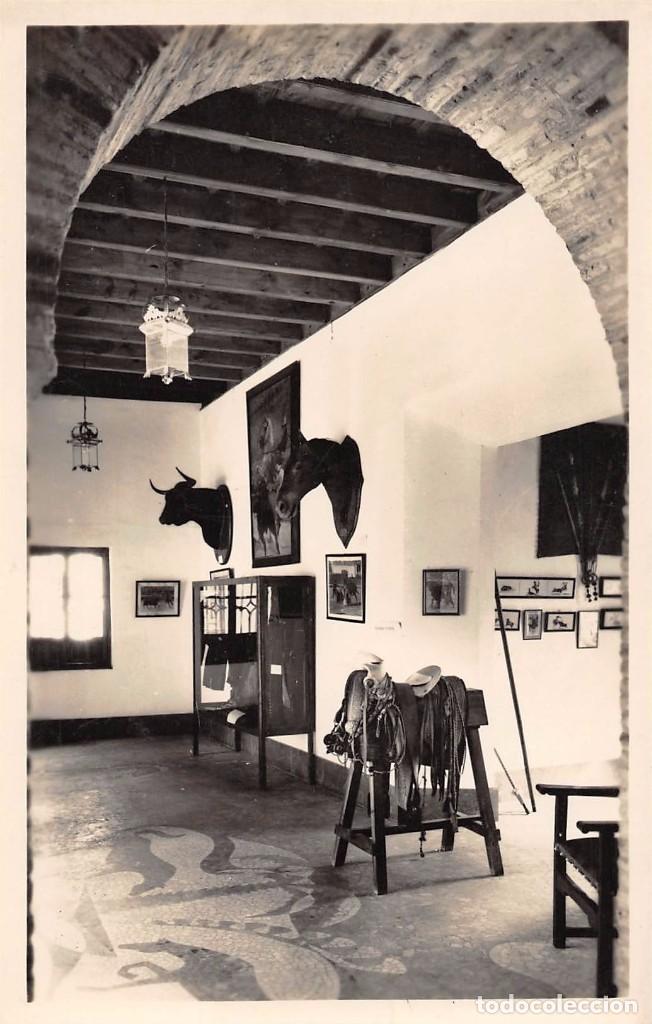 Postales: C&Oacute;RDOBA.- MUSEO MUNICIPAL. SECCI&Oacute;N ARTE TAURINO