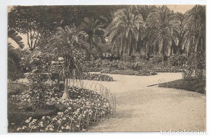 Postales: MALAGA .- PARQUE .- FOTO L. ROISIN N&ordm; 3