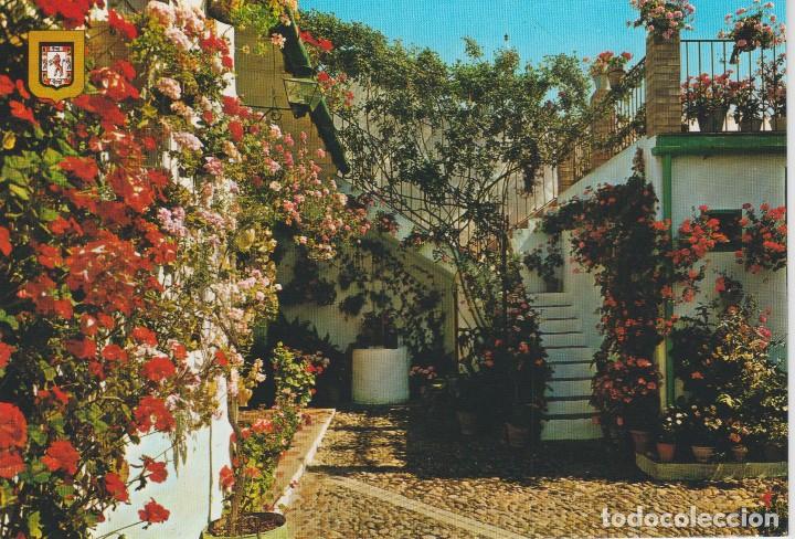 Postales: (47463) CORDOBA. BAJO DE PATIO