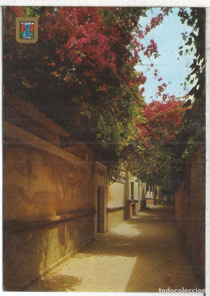 Postales: SEVILLA ESCRITA - Foto 1