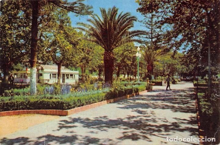 Postales: MARBELLA (M&Aacute;RBELLA) PASEO PARQUE - Foto 1