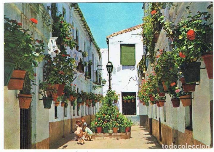 Postales: Postal de la Costa del Sol, calle t&iacute;pica. Ed. Beascoa. Sin circular