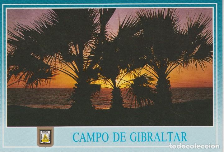 Postales: (7) CAMPO DE GIBRALTAR