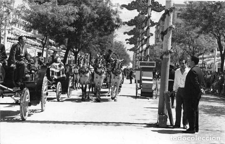 Postales: FERIA DE SEVILLA.- TRONCO DE TIRO ENGALANADO