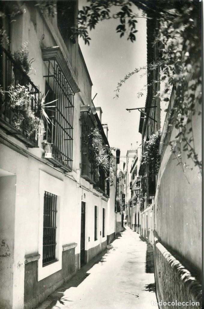 Postales: SEVILLA-CALLE DE LA PIMIENTA