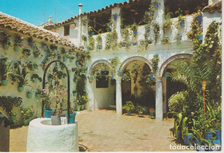 Postales: (215) CORDOBA. PATIO TIPICO