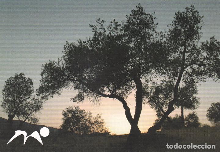 Postales: POSTAL SIERRA MORENA - Foto 1