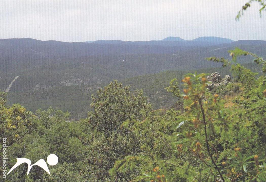 Postales: POSTAL SIERRA MORENA - Foto 1