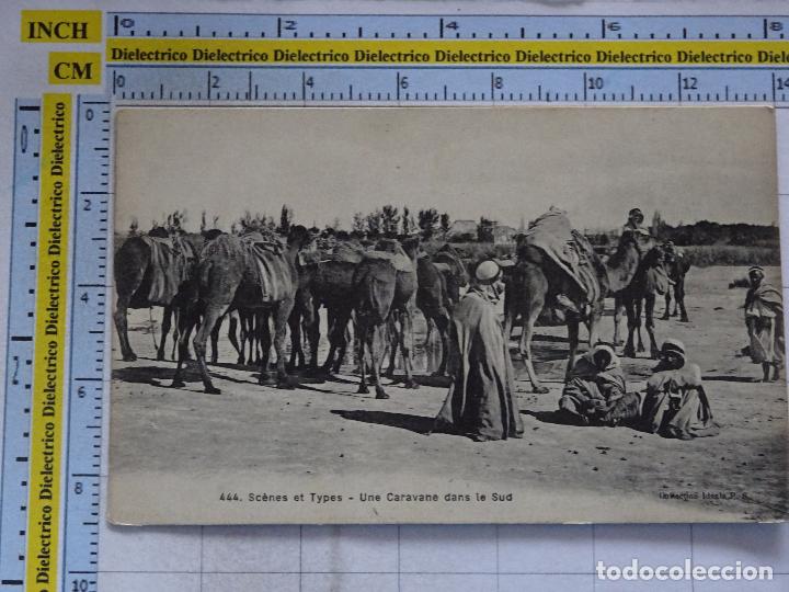 Cartoline: ANTIGUA POSTAL &Aacute;FRICA NORTE MARRUECOS ARGELIA TUNEZ SAHARA VIVA &Eacute;TNICA. CARAVANA DE CAMELLOS. 1286
