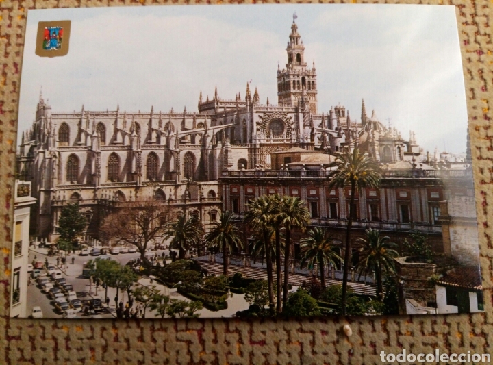 Postales: Postal Sevilla 1981 escrita usada - Foto 1