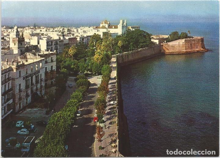 Postales: CADIZ .- VISTA PARCIAL ALAMEDAS .- N&ordm; 62 EDICIONES SICILIA .- SIN CIRCULAR
