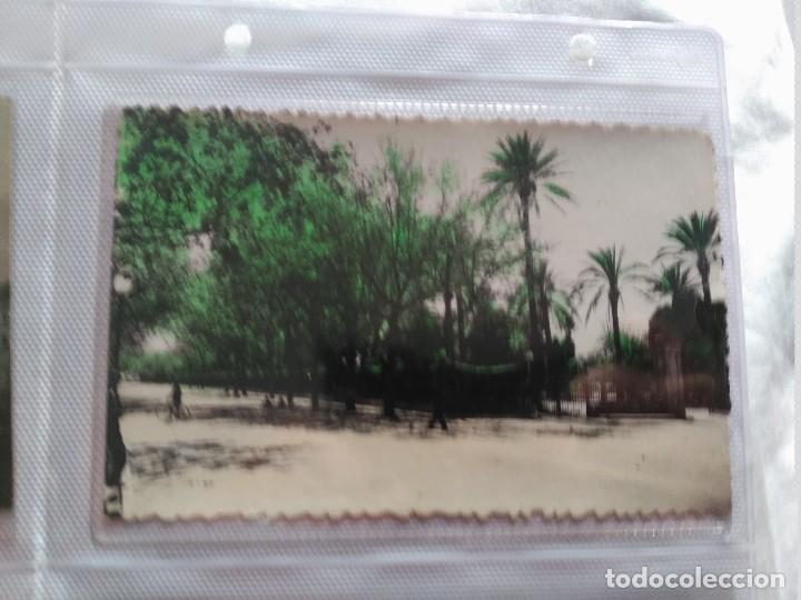 Postales: cadiz postal parque genoves
