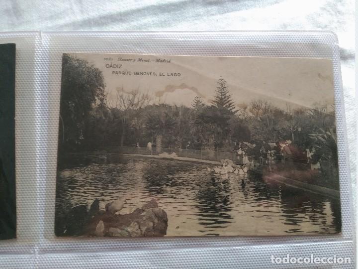 Postales: cadiz parque genoves el lago H. yM.