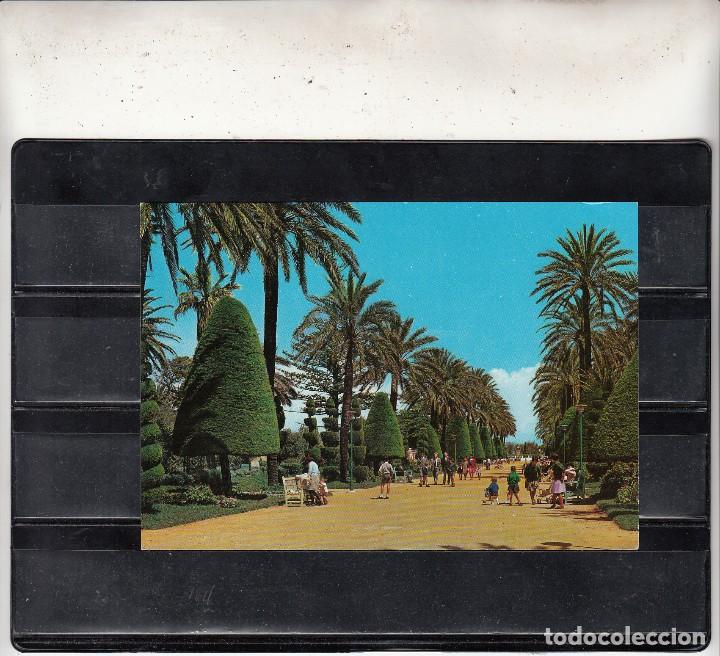 Postales: 3.- CADIZ. PARQUE GENOV&Eacute;S. PASEO CENTRAL