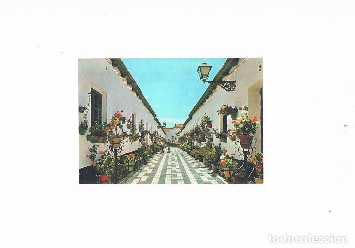 Cartes Postales: POSTAL ANTIGUA ANDALUCIA MALAGA SIN CIRCULAR CALLE TIPICA