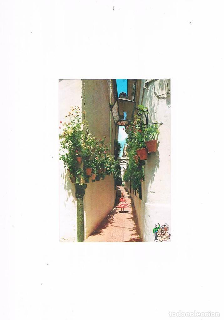 Cartes Postales: POSTAL ANTIGUA ANDALUCIA SIN CIRCULAR ESPA&Ntilde;A CALLE TIPICA ANDALUZA
