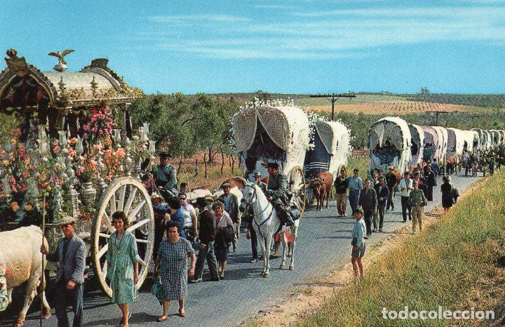 ROMERIA ANDALUZA
