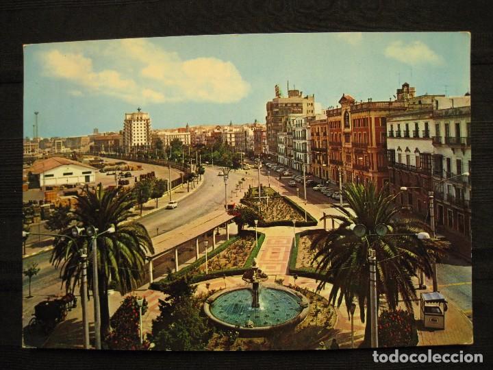 Postales: POSTAL CADIZ - AVENIDA CARRANZA - CIRCULADA.