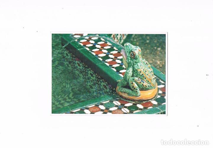 Cartes Postales: POSTAL ANTIGUA SIN CIRCULAR ANDALUCIA DETALLE FUENTE