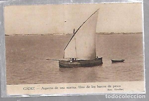 Postcards: TARJETA POSTAL DE CADIZ - ASPECTO DE UNA MARINA. UNO DE LOS BARCOS DE PESCA