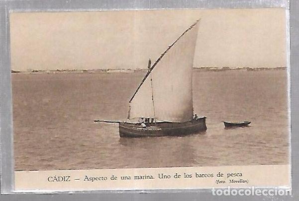 Postcards: TARJETA POSTAL DE CADIZ - ASPECTO DE UNA MARINA. UNO DE LOS BARCOS DE PESCA