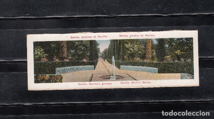 Postales: SEVILLA. JARDINES DE MURILLO - Foto 1