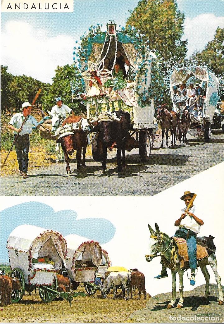 Postcards: ANDALUCIA, BELLEZAS DE LA REGI&Oacute;N - GARCIA GARRABELLA N&ordm; 13 - EDITADA 1965 - S/C