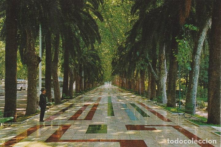 Postales: N&ordm; 31997 POSTAL MALAGA PASEO DEL PARQUE