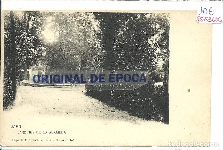 Postales: (PS-53616)POSTAL DE JAEN-JARDINES DE LA ALAMEDA