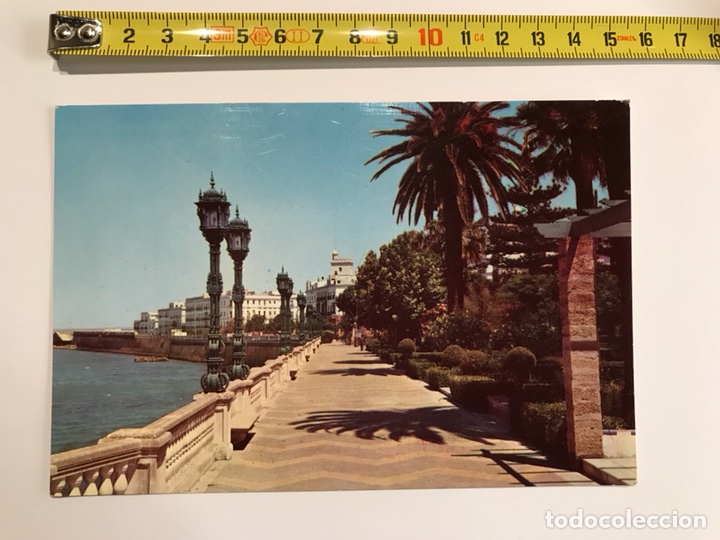 Postales: CADIZ Postal No. 527 &ldquo;Alameda Marqu&eacute;s de Comillas&rdquo; (h.1960?)