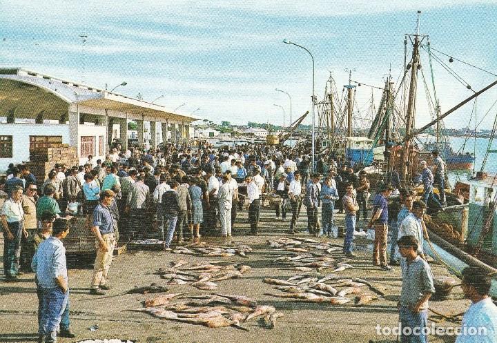 Postales: N&ordm; 32385 POSTAL CADIZ SANLUCAR DE BARRAMEDA SUBASTA DEL PESCADO