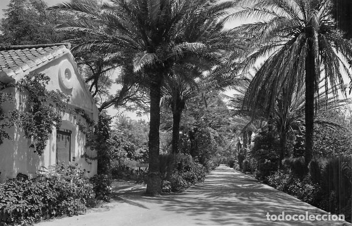 Postales: TORREMOLINOS.-ENTRADA A LA ROCA