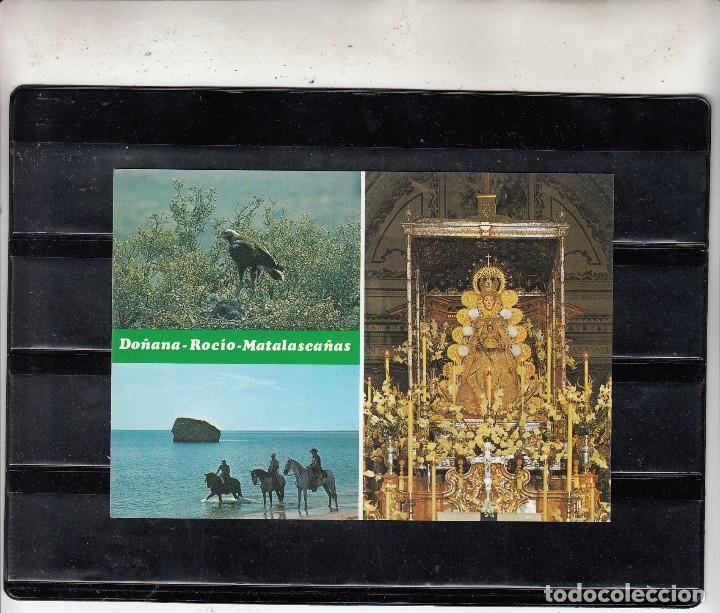 Postales: 35.- PARQUE NACIONAL DE DO&Ntilde;ANA. NUESTRA SE&Ntilde;ORA DEL ROCIO. MATALASCA&Ntilde;AS.-HUELVA