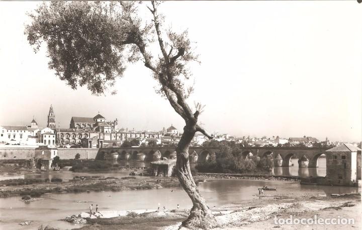 Postales: C&Oacute;RDOBA VISTA PARCIAL FOTO POSTAL
