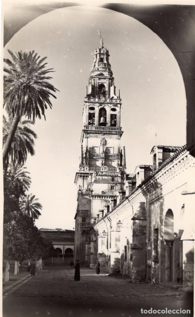 Postales: Cordoba Campanario y Patio de los Naranjos n&ordm; 217