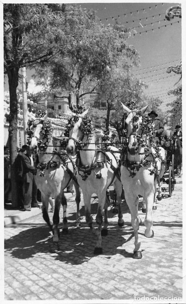 Postales: SEVILLA.- FOTO SERRANO- MEDIDAS 14 X 8,5 CMS- EN LA FERIA