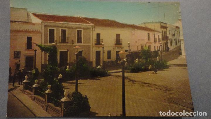 Postales: ANTIGUA POSTAL.PLAZA JOSE ANTONIO.CARTAYA.HUELVA.FOTO FLORES.1965