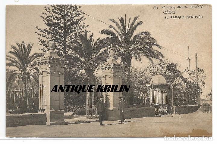 Postales: CADIZ N&ordm; 864 EL PARQUE GENOVES .- EDICION HAUSER Y MENET