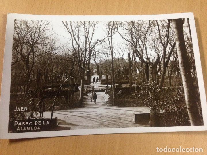 Postales: ANTIGUA POSTAL PASEO DE LA ALAMEDA JAEN