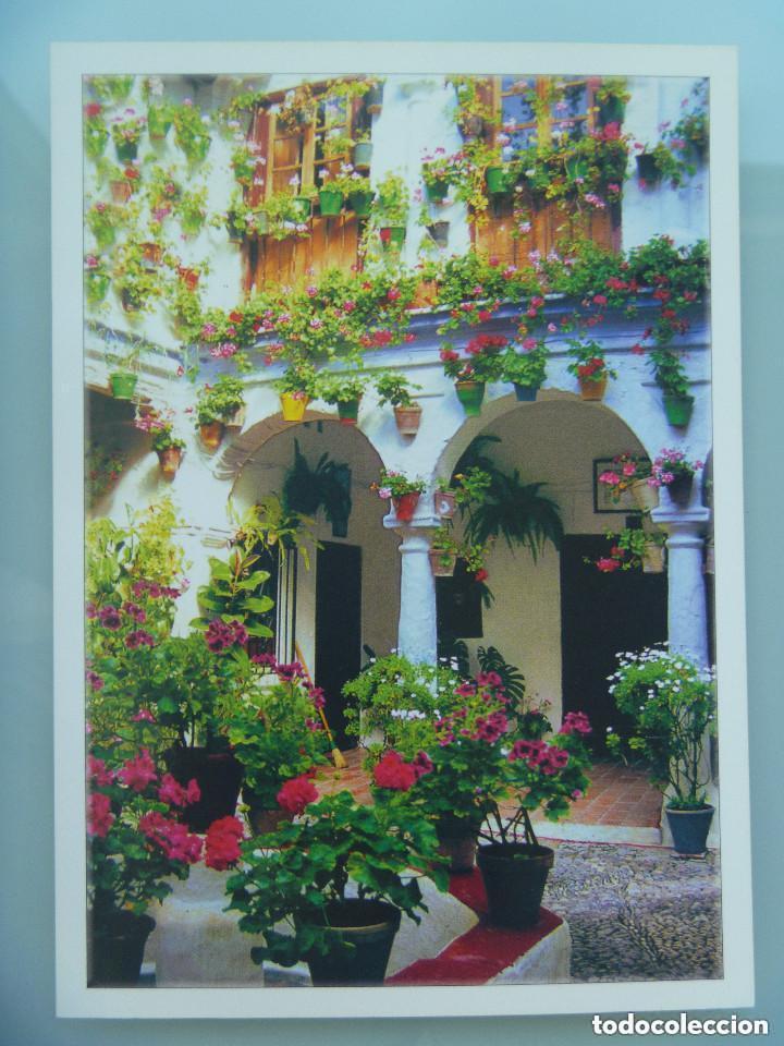 Postales: POSTAL DE ANDALUCIA : UN PATIO DE CORDOBA