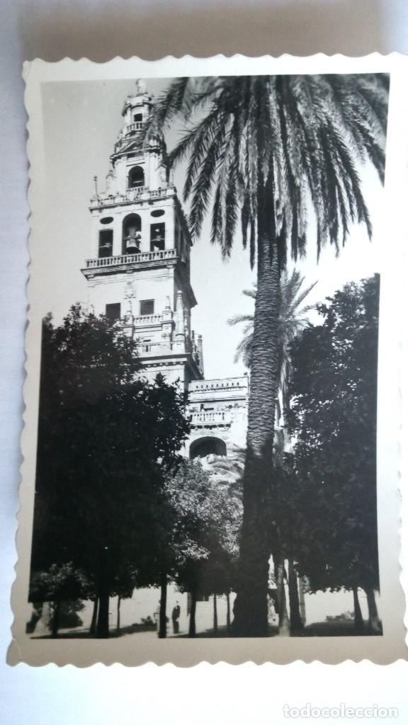 Postales: POSTAL CORDOBA, LA MEZQUITA, TORRE Y PATIO DE LOS NARANJOS