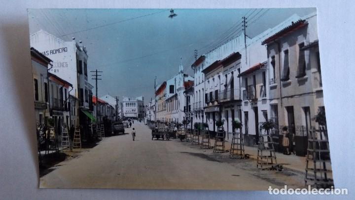 Postales: POSTAL PUENTE GENIL, AVDA MANUEL REINA