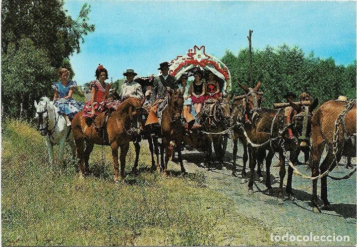 Postales: ANDALUCIA N&ordm; 4 .- ROMERIA DEL ROCIO .- EDICION GARCIA GARRABELLA