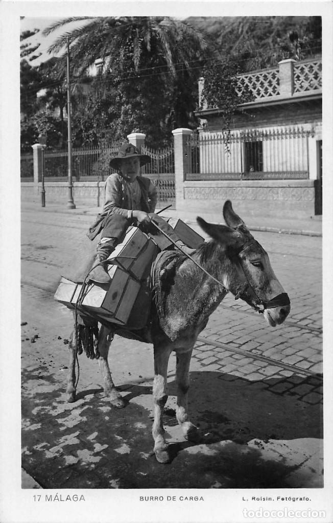 Postales: M&Aacute;LAGA.- BURRO DE CARGA - Foto 1