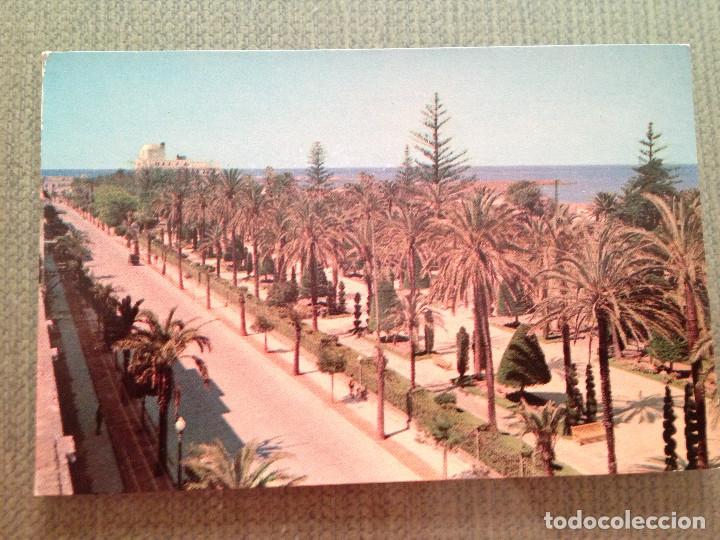 Postales: POSTAL CADIZ PARQUE GENOVES